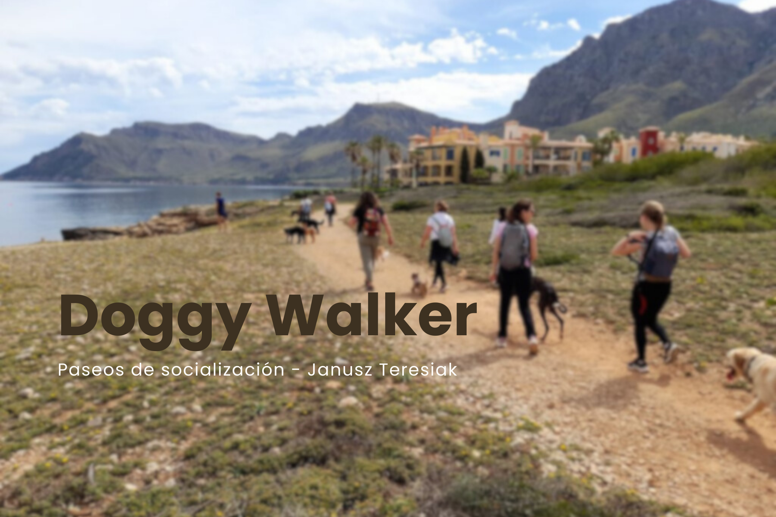 doggy-walker-dog-and-roll