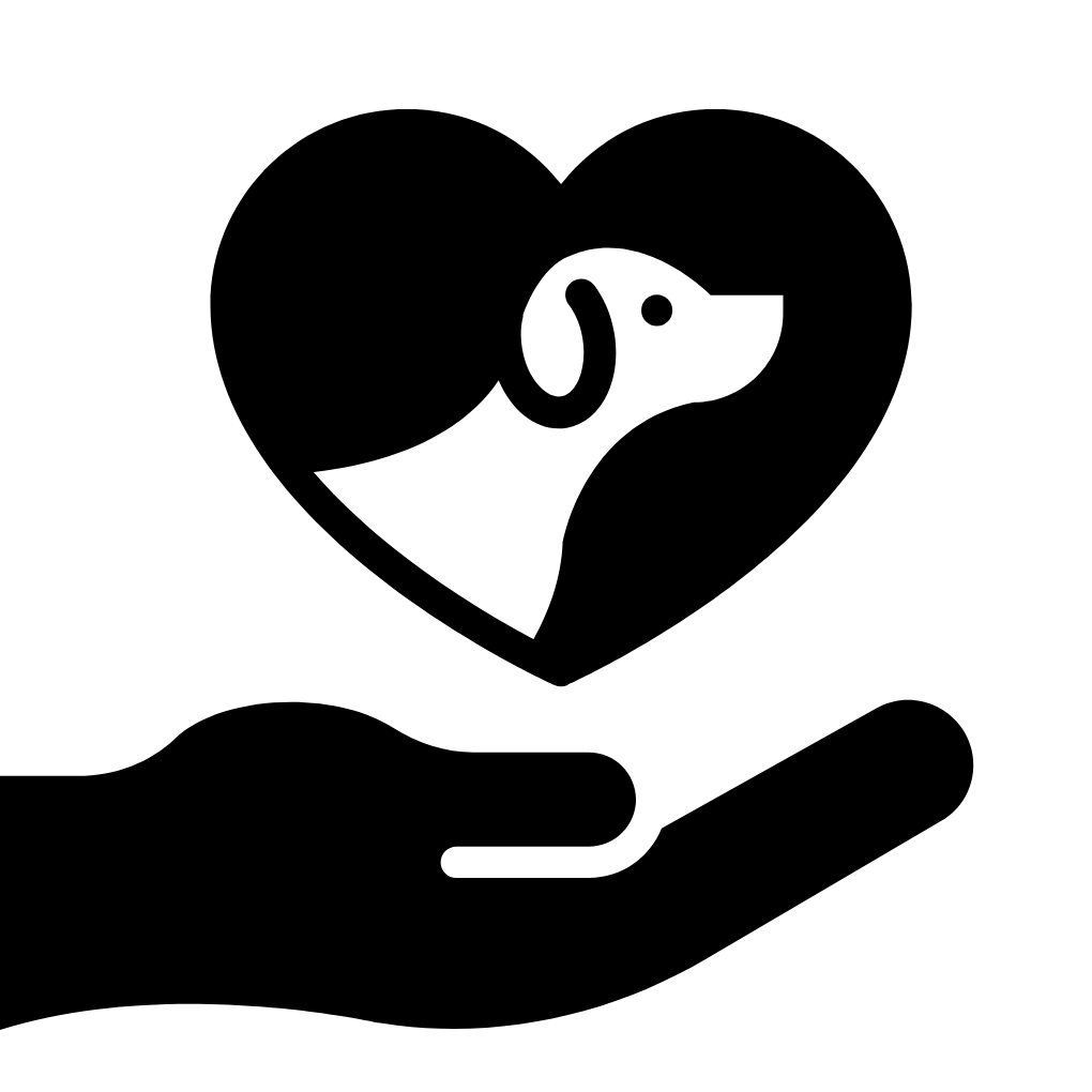 INTERVENCIÓN-DUAL