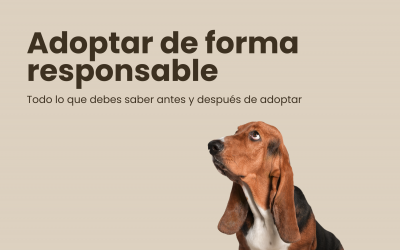 Adoptar de forma responsable: todo lo que debes saber