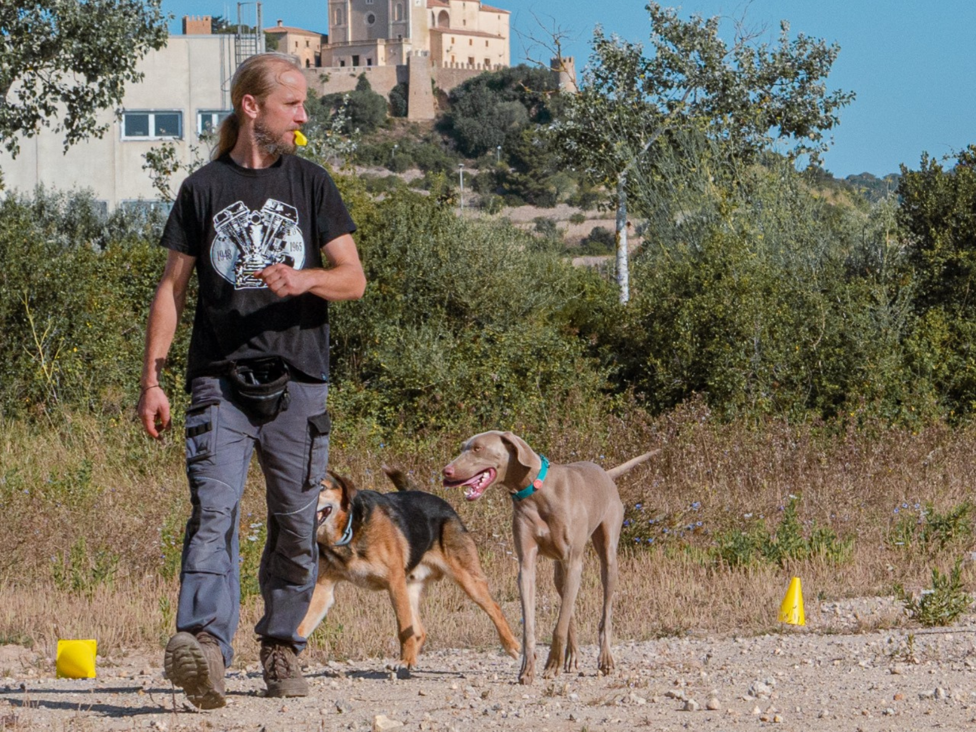 educacion-canina educacion-canina